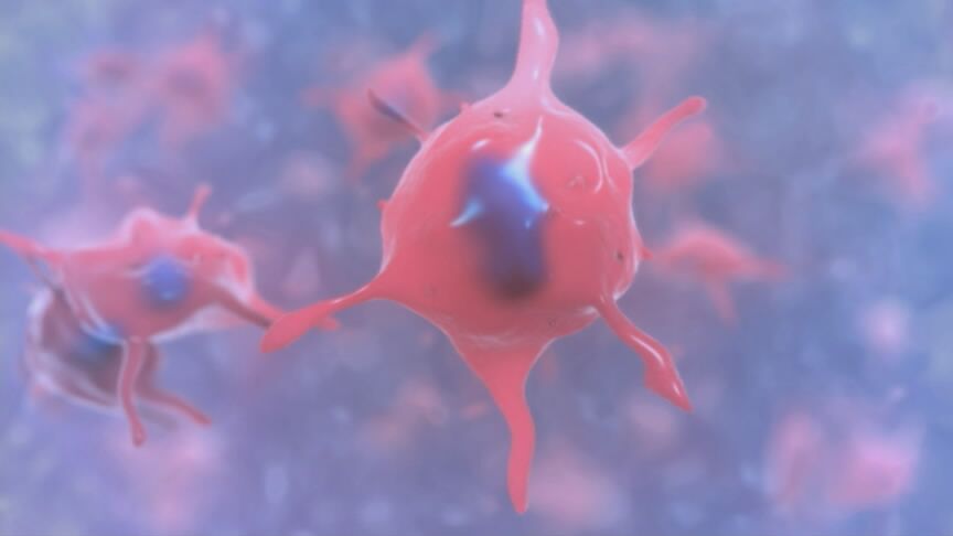 间充质干细胞治疗类风湿关节炎,干细胞干预类风湿性关节炎