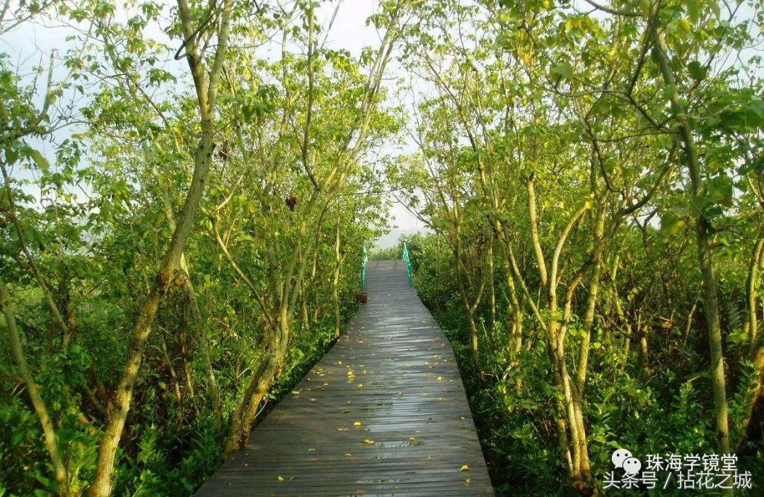 风景好适合散心的民宿,唐家特色民宿