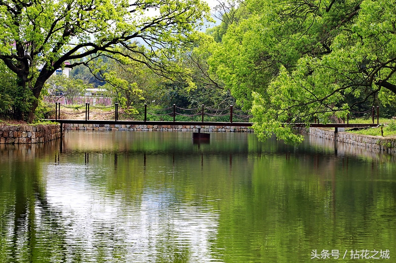 风景好适合散心的民宿,唐家特色民宿