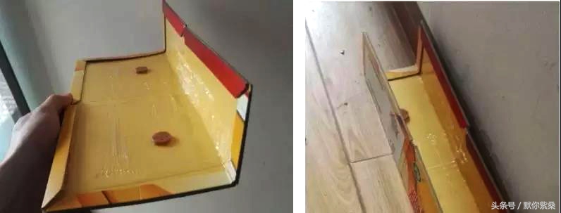 捕鼠达人技巧大全,捕鼠达人如何巧用粘鼠板