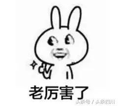 监狱警察一般都干什么,监狱警察和普通警察的区别