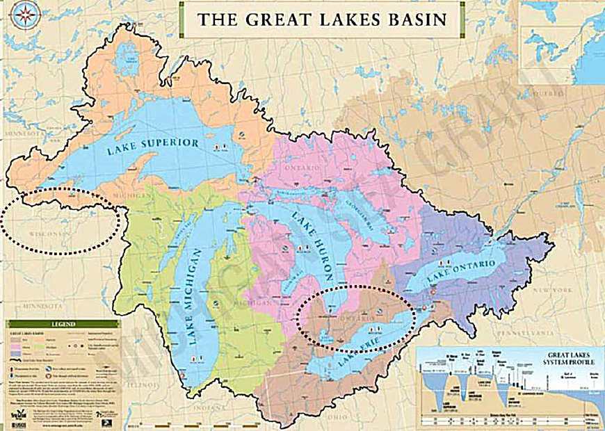 你知道哪些病不能吃西洋参吗,关于高丽参你知道多少