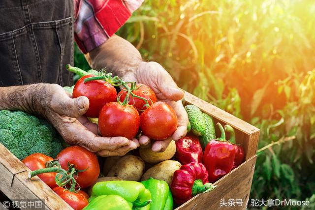 移民加拿大后连大白菜也吃不起了，后悔不？