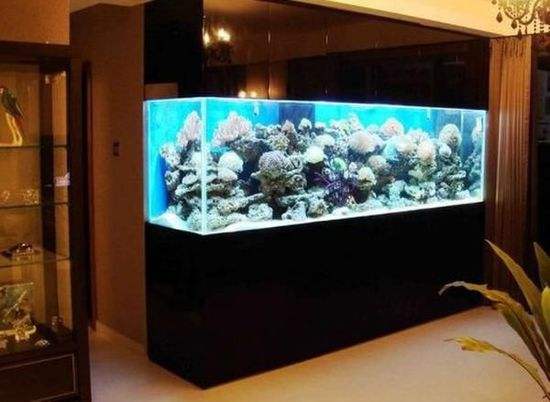 鱼缸摆放对风水的影响有哪些,鱼缸摆放在什么位置招财最好