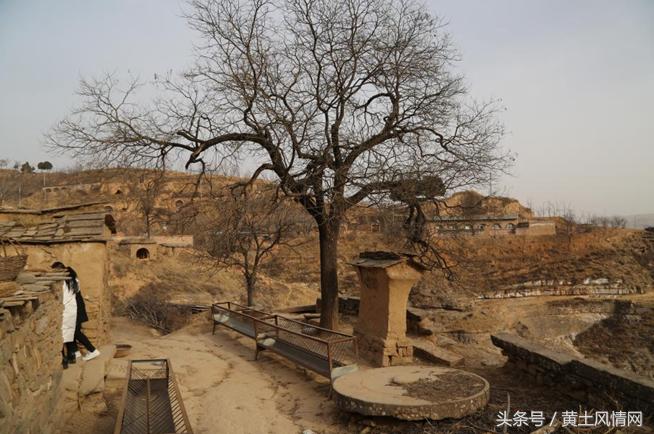 有多少人知道《泪蛋蛋抛在沙蒿蒿林》背后的悲壮爱情故事？