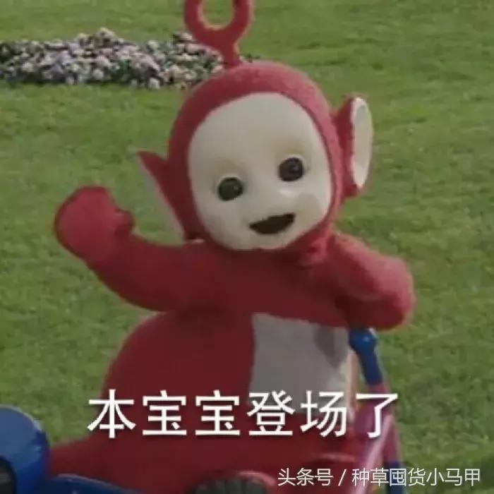 香水女大牌平价,香水中的平价战斗机