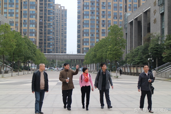 中小学教师教学基本功培训收获,湖南教师培训新模式