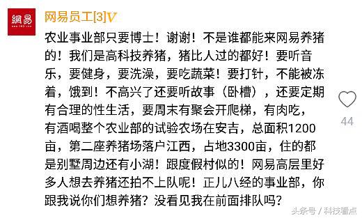 网易农业部养猪是真的吗？平头哥王兴不裁员你信吗？