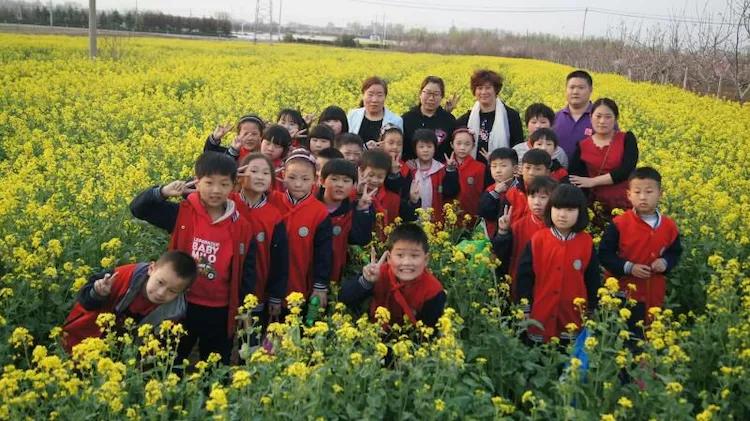 新教育实验内容简介,新教育实验