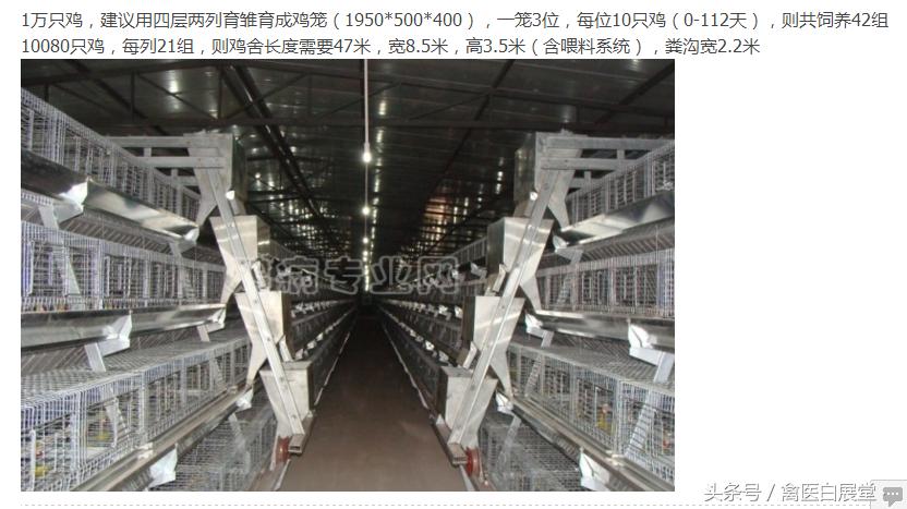 标准化笼养鸡舍图纸,标准鸡舍的规范图纸