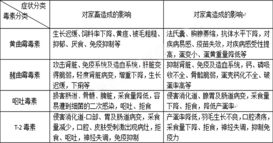 霉菌感染的危害你了解多少