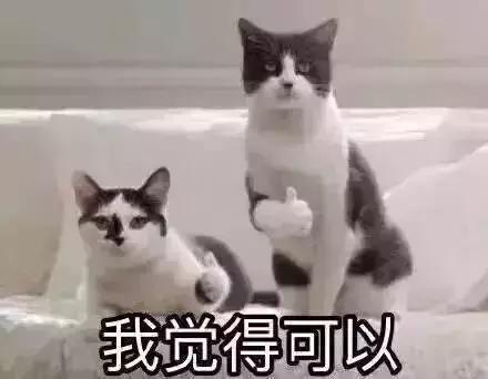 上海奉贤brt路线图,奉贤快速公交网