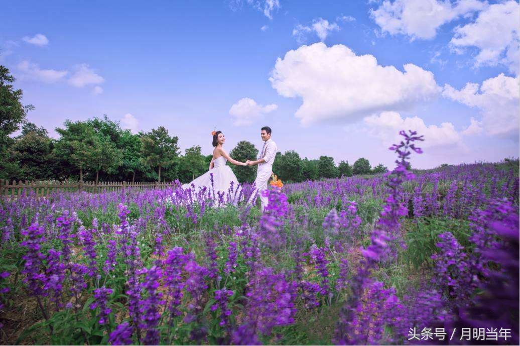 悦兮半岛国际温泉度假村,悦兮半岛度假村地图