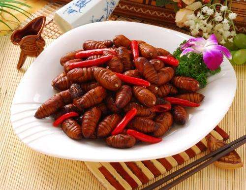 林更新试吃蚕蛹,林更新吃蚕蛹好吗