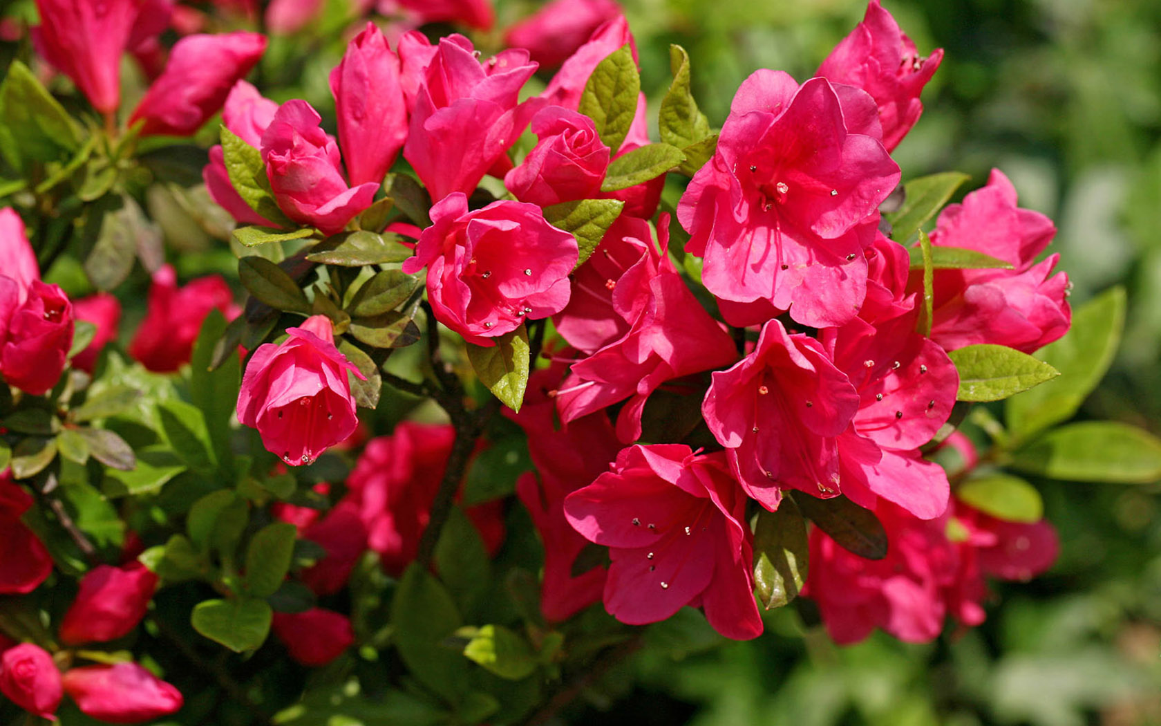 嘉兴嘉善美丽城市,美丽浙江嘉兴嘉善