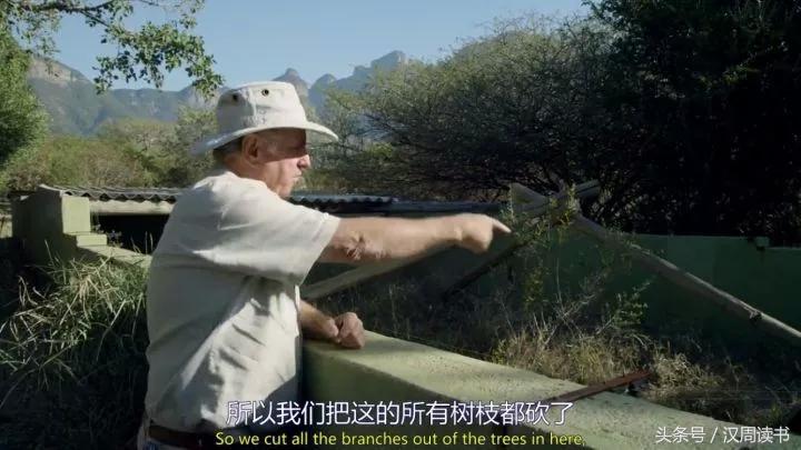 非洲平头哥张狂不是我的本性但是惹我就等于自杀