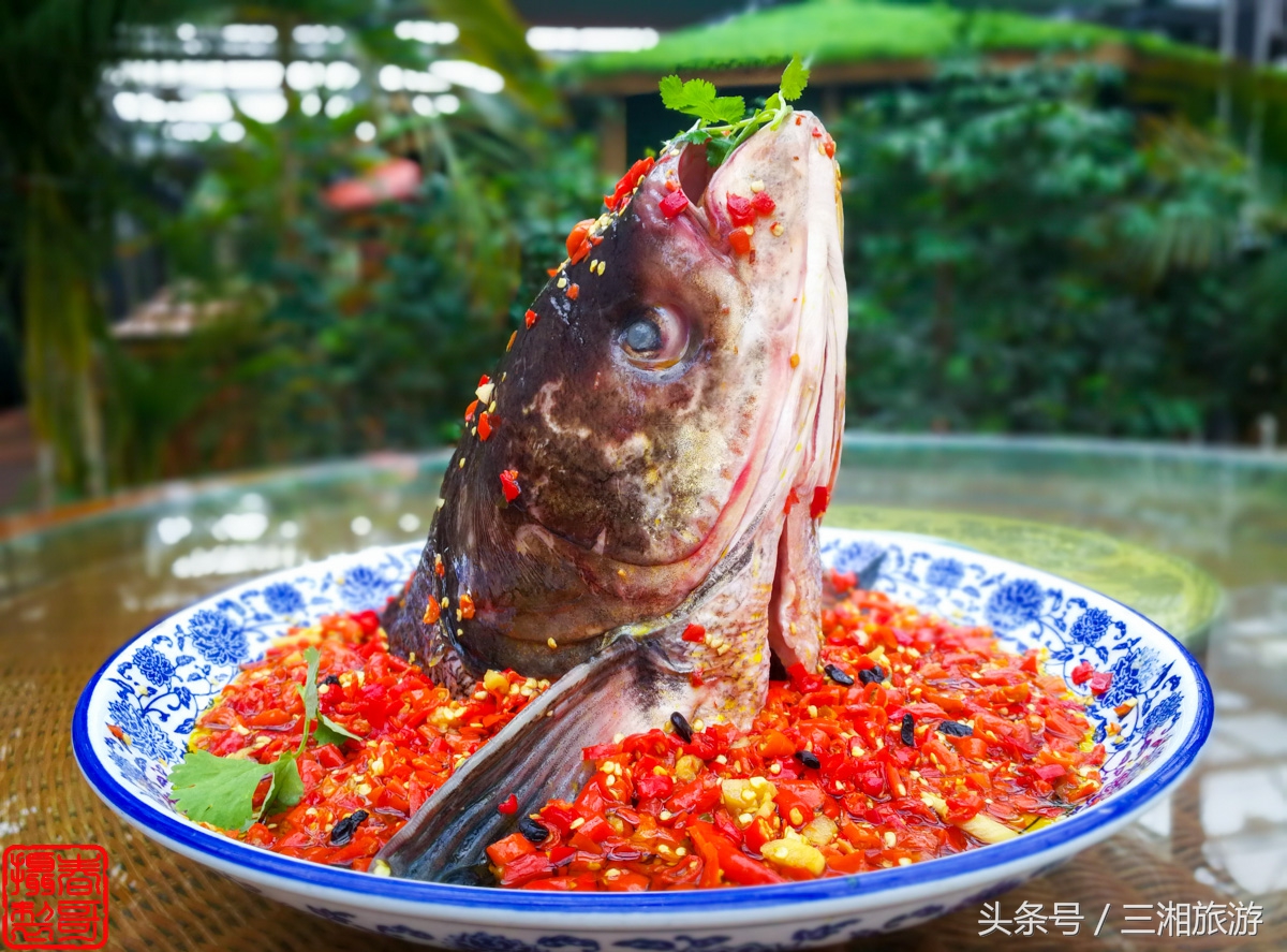 株洲生态休闲农庄生态餐饮,株洲野生鱼饭店