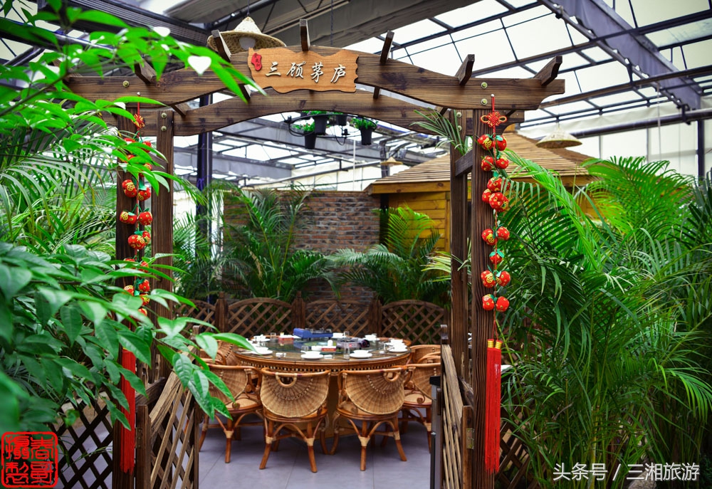 株洲生态休闲农庄生态餐饮,株洲野生鱼饭店