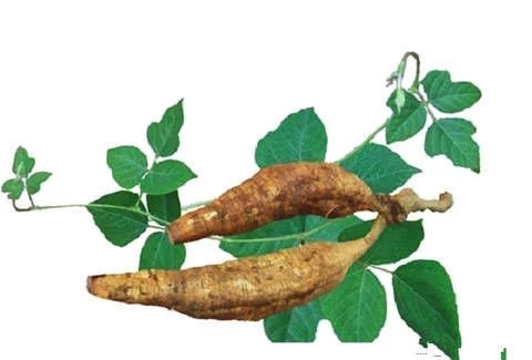 解酒效果很高的药,解酒护肝药物有用吗