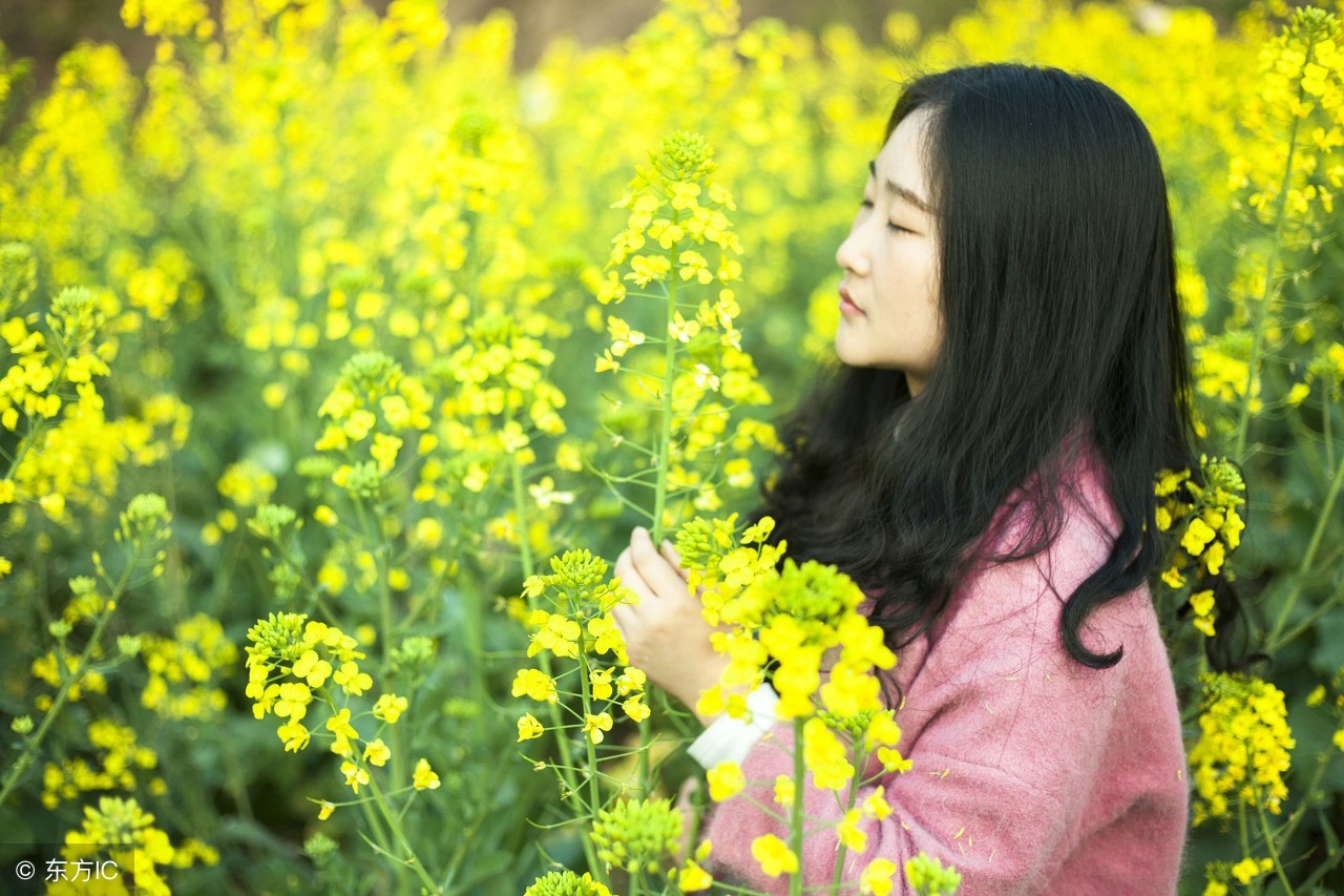 小学生必背成语500个及造句,小学语文必背成语及解析