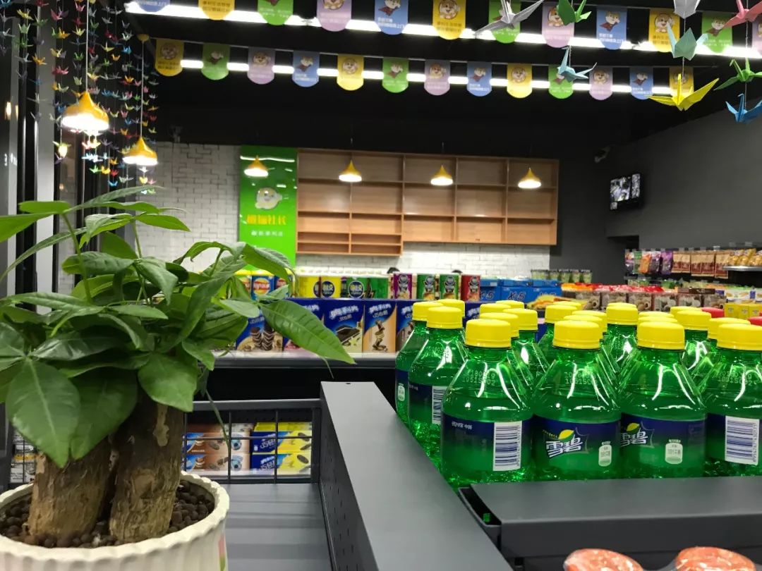 懒猫社长便利店开业,懒猫社长便利店视频