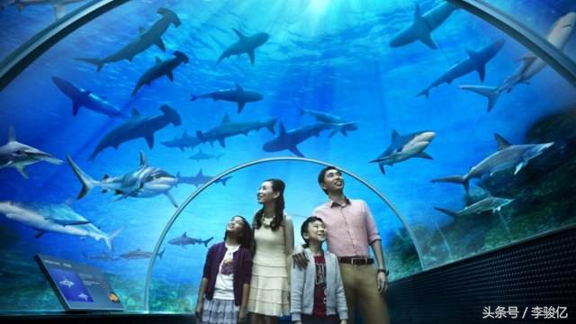 销售思维与营销思维的区别,销售意识销售思维