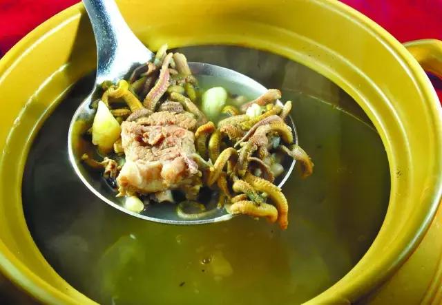 细长的白色水虫,东北小水虫