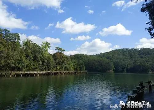 到版纳一定要体验一场泼水狂欢,云南景洪泼水节之旅