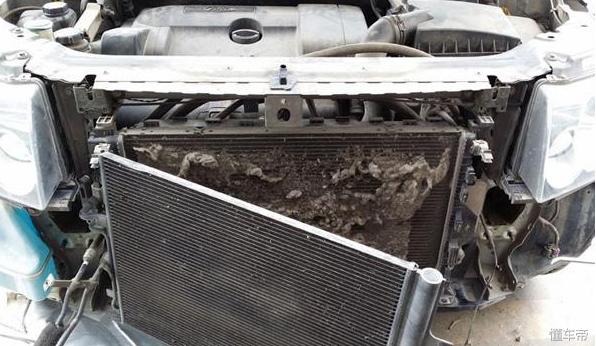 汽车柳絮防治,汽车飞絮过敏怎么处理