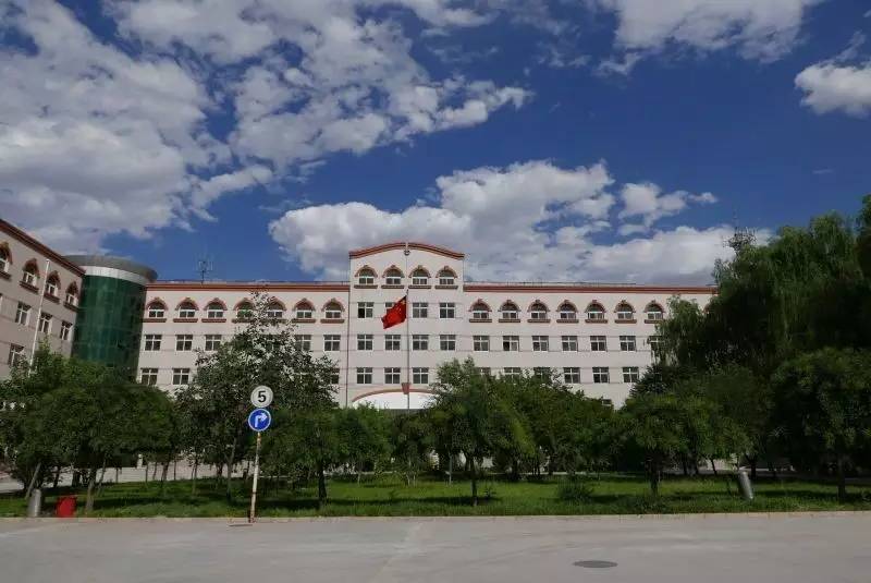 保定市区有哪些好的小学学校,保定市十大民办小学