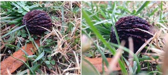 iphone12拍照技巧教你做拍照达人,iphone12promax弱光环境拍照技巧