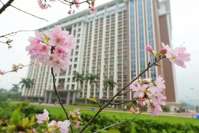 私立华联学院在全国的排名,私立华联学院是正规大学吗