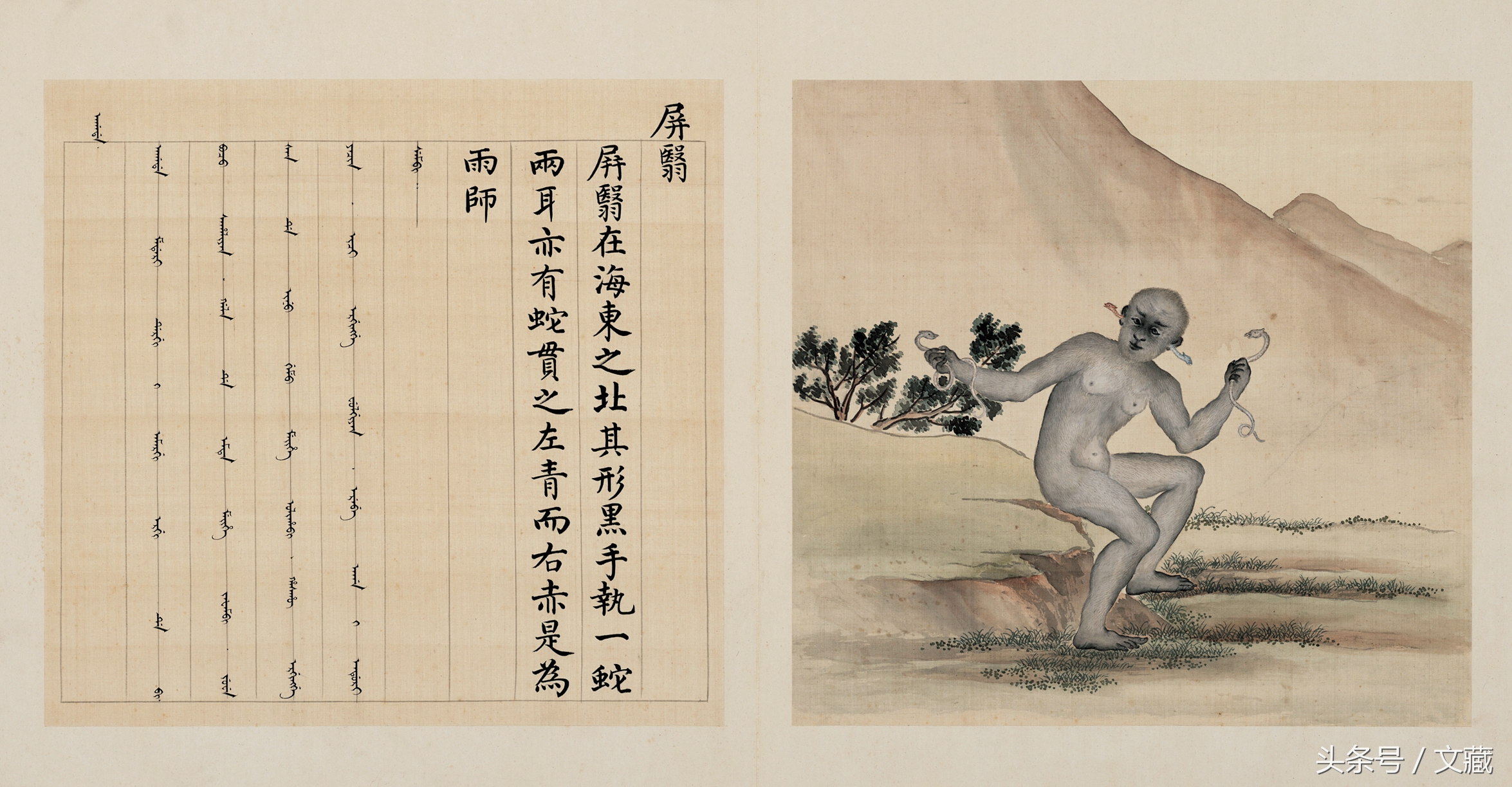 有用而鄙贱，无用而高贵——猴与猿的迥异待遇