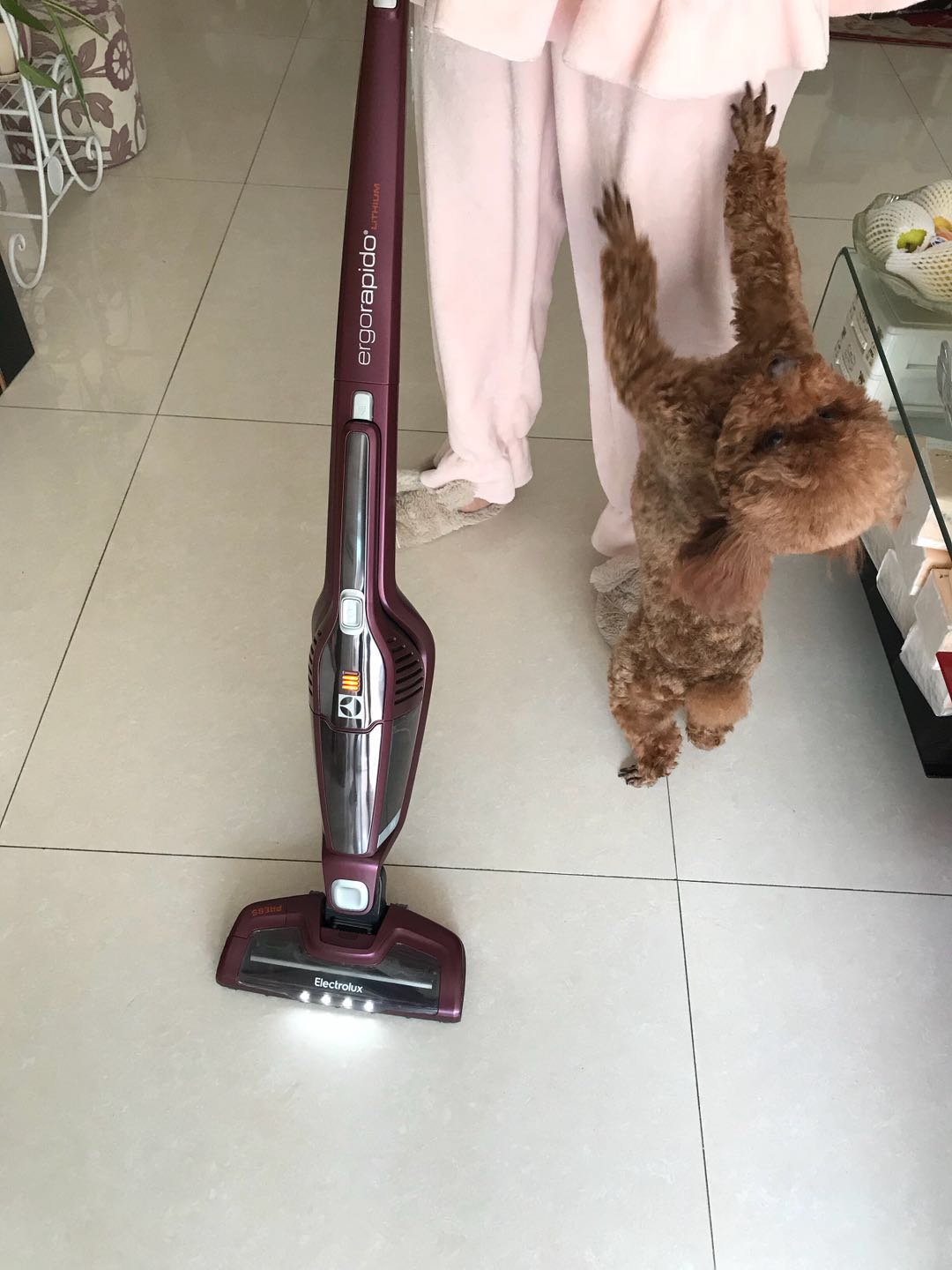 尘螨感应吸尘器,伊莱克斯吸尘器吸力