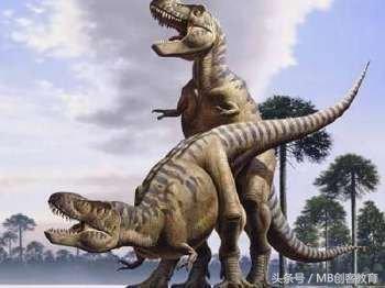 鸡蛋洗过的好还是没洗过的好,鸡蛋洗还是不洗