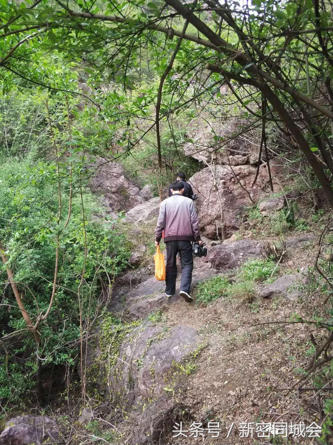 新密市九里山风景区摘槐花,新密超化九里山槐花林