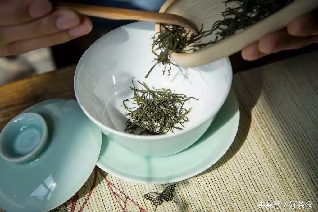 今年热度最高的绿茶恩施玉露,茶知识恩施玉露