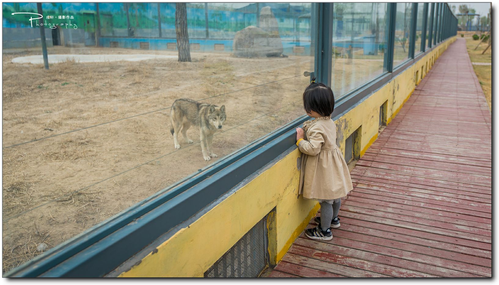 鍔ㄧ墿鍥悓瀹犳涔愬,鍔ㄧ墿鍥噹鐢熷姩鐗╃伅鍏夌