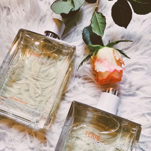 香奈儿男香水哪个好闻,值得入手的十大男士香水