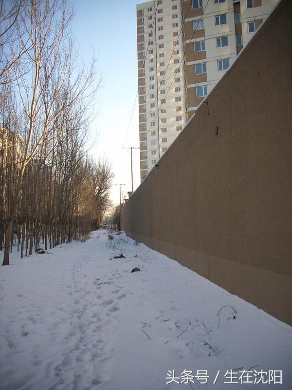 沈阳一共几所监狱,沈阳大北监狱简介