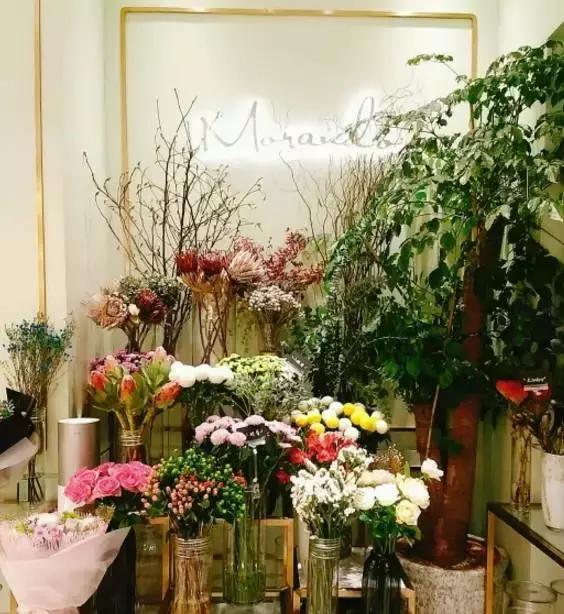 沈阳美食推荐文艺餐厅,沈阳适合约会的小资的餐厅