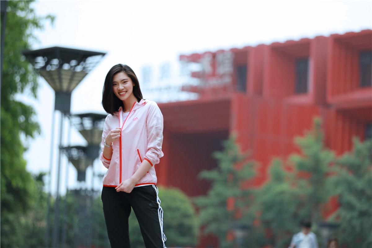 又到了去看蓝花楹的季节,又到了看风景的季节