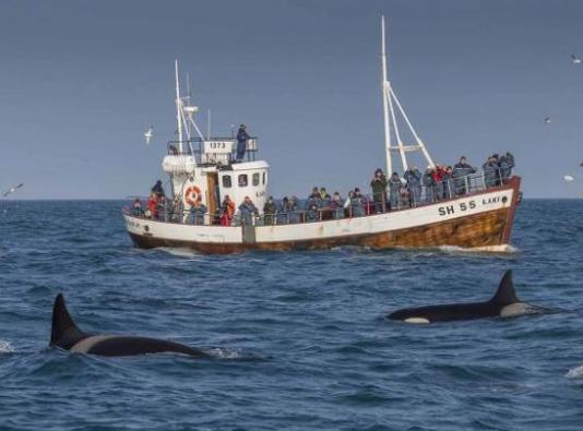 足坛交接父子兵门将,足坛交接父子兵