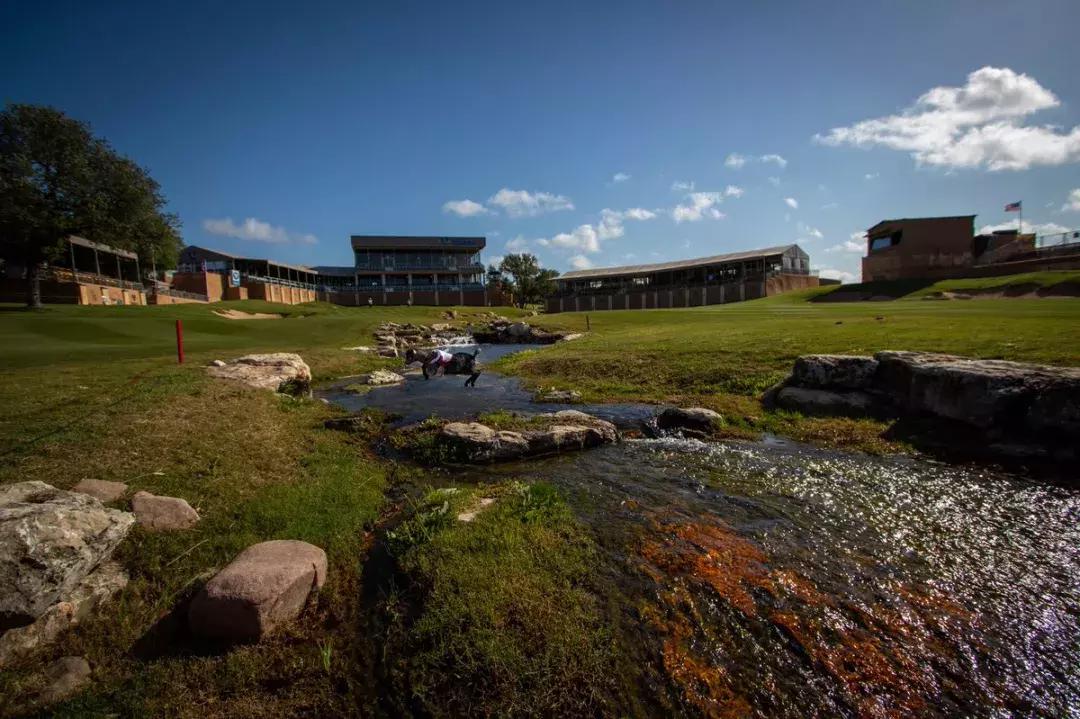 讲真，德州公开赛的看点不仅有这只羊！