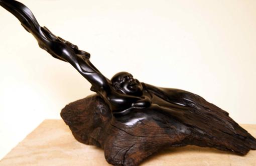 乌木怎么形成,乌木怎么形成的