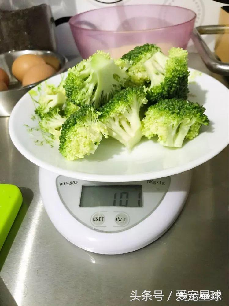 幼犬狗粮自制狗粮教程,怎么给狗自制狗粮器