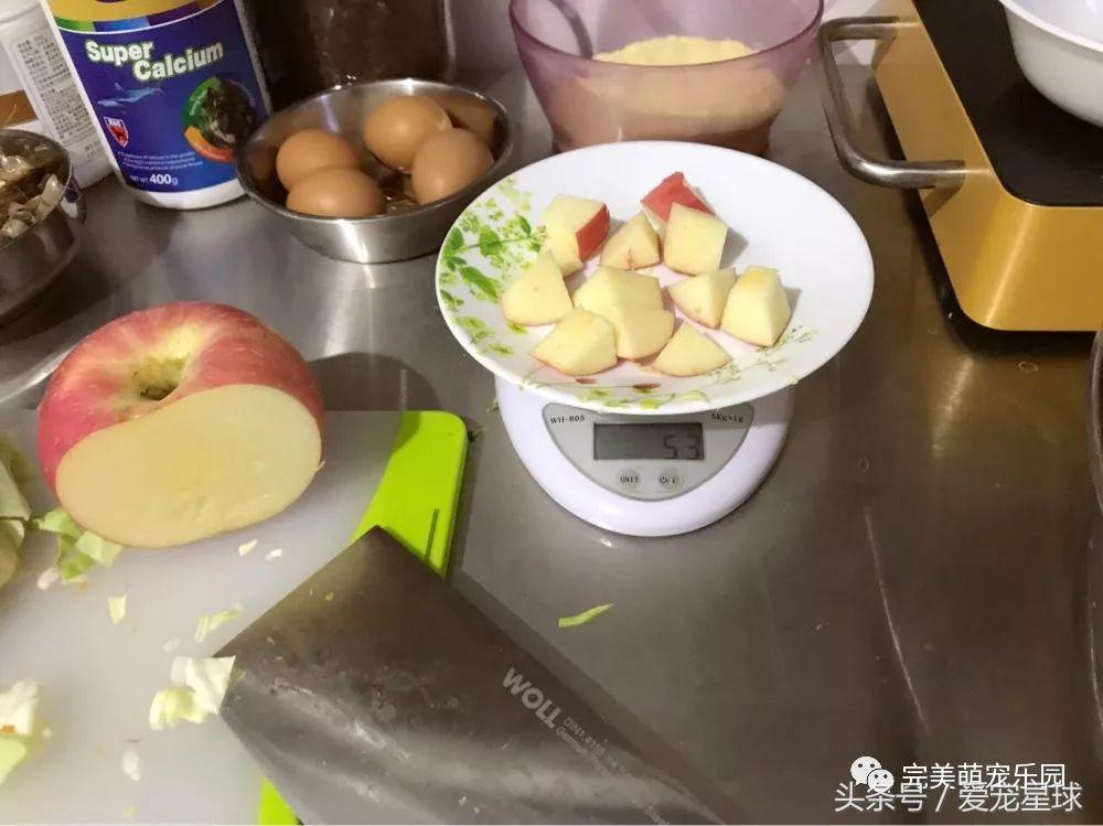 如何自制幼犬去泪痕狗粮视频教程,怎么给狗自制狗粮器