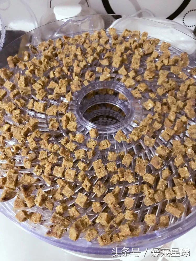 如何自制幼犬去泪痕狗粮视频教程,怎么给狗自制狗粮器