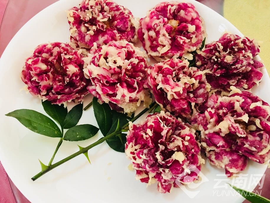 芬芳之旅会泽,芬芳之旅在线观看完整版