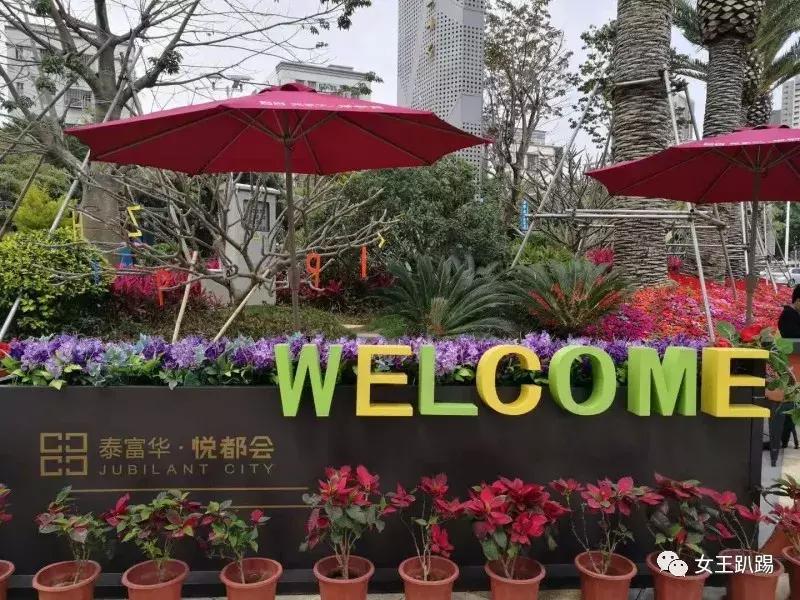 坪山买房政策,坪山中心区买房攻略